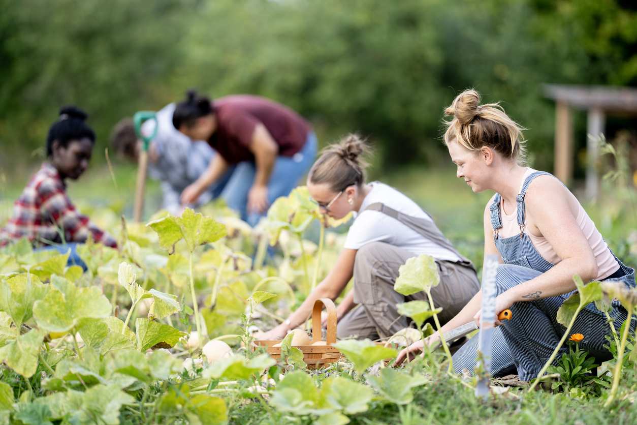 Garden Club