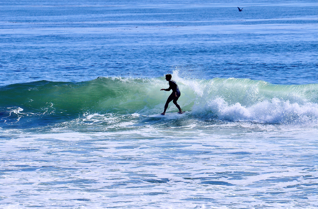 Surf Club